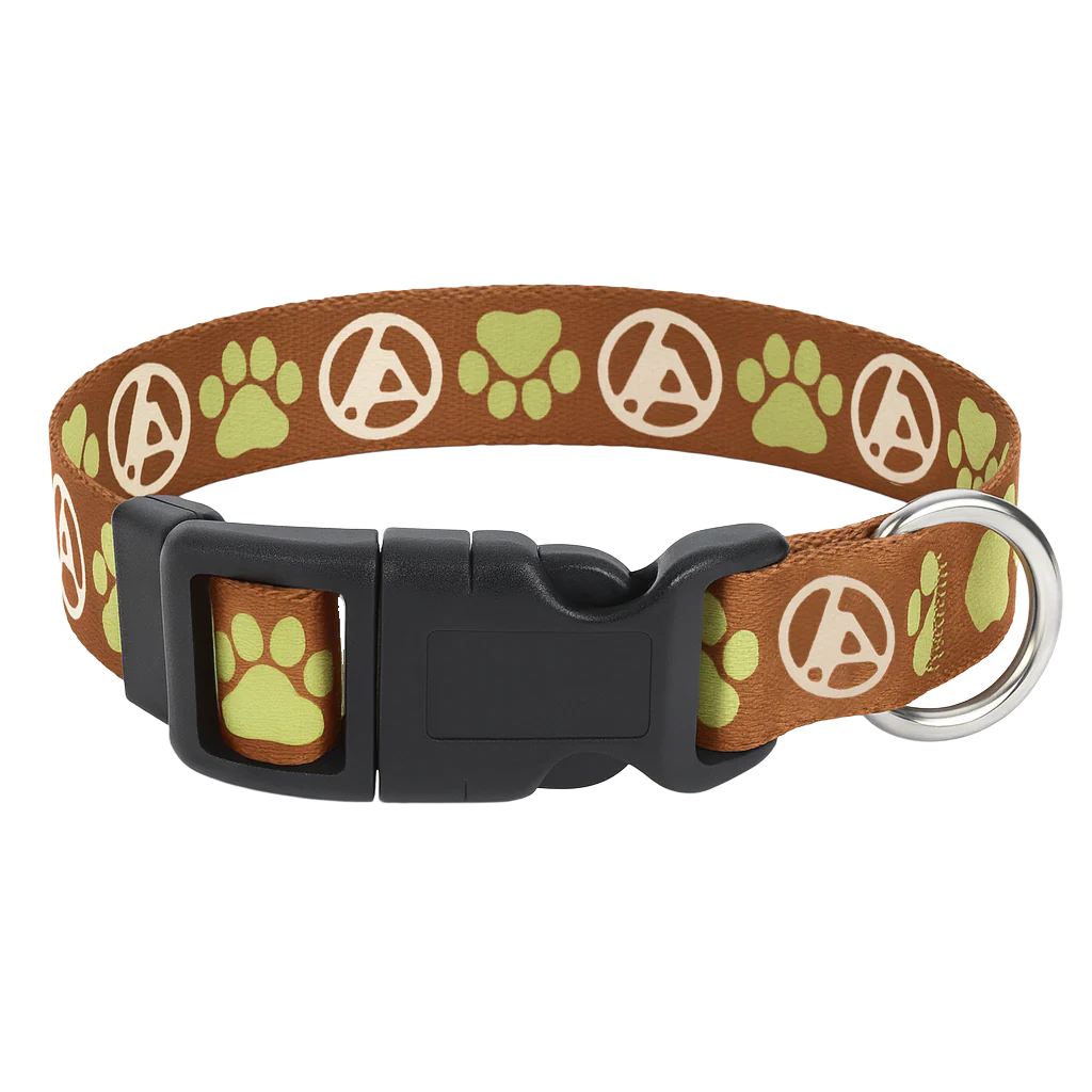 LP Orange/Green Dog Collar